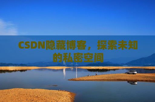 CSDN隐藏博客，探索未知的私密空间